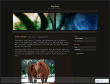 Tablet Screenshot of fotofrost.wordpress.com