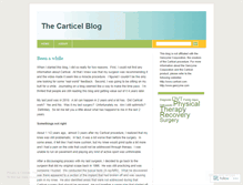 Tablet Screenshot of carticel.wordpress.com