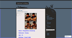 Desktop Screenshot of cjsilver.wordpress.com