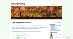 Desktop Screenshot of codebright.wordpress.com