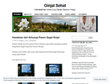 Tablet Screenshot of ginjalsehat.wordpress.com