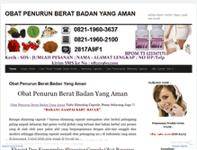 Tablet Screenshot of obatpenurunberatbadanyangaman229.wordpress.com