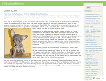 Tablet Screenshot of chihuahuarescue.wordpress.com