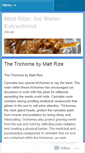 Mobile Screenshot of mattrize.wordpress.com