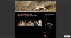 Desktop Screenshot of dailydingo.wordpress.com