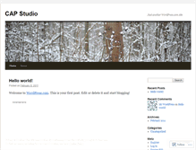 Tablet Screenshot of capstudio.wordpress.com