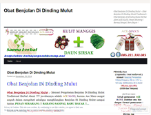Tablet Screenshot of obatbenjolandidindingmuluttradisionalherbal47.wordpress.com