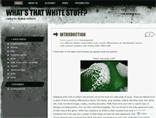 Tablet Screenshot of alaskawhitestuffid.wordpress.com