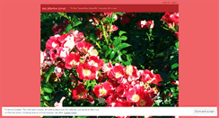 Desktop Screenshot of myphotosyear.wordpress.com