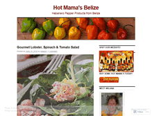 Tablet Screenshot of hotmamasbelize.wordpress.com