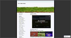 Desktop Screenshot of 3ferriswheels.wordpress.com