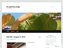 Tablet Screenshot of 365imgonnasnap.wordpress.com