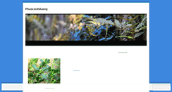 Desktop Screenshot of phuocsinhduong1.wordpress.com