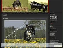Tablet Screenshot of meinfloh.wordpress.com