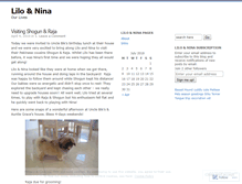Tablet Screenshot of lilonina.wordpress.com