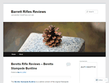 Tablet Screenshot of barrettriflesreviews.wordpress.com