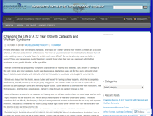 Tablet Screenshot of feinermanvision.wordpress.com