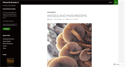 Desktop Screenshot of brandonphotoblog.wordpress.com