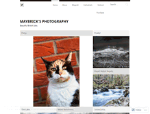 Tablet Screenshot of maybrick2001.wordpress.com