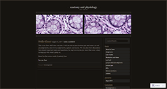 Desktop Screenshot of anatomyphysiologyrusso.wordpress.com