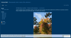 Desktop Screenshot of eclecticbeth.wordpress.com