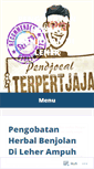 Mobile Screenshot of pengobatanherbalbenjolandileher21.wordpress.com