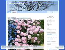 Tablet Screenshot of myamusingmind.wordpress.com
