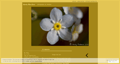 Desktop Screenshot of kirstyfliesfree.wordpress.com