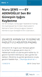 Mobile Screenshot of nurusems.wordpress.com