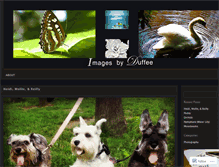 Tablet Screenshot of imagesbyduffee.wordpress.com