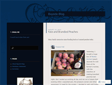 Tablet Screenshot of baysideblog.wordpress.com