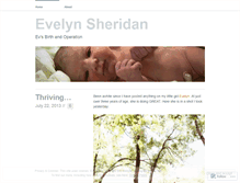 Tablet Screenshot of evelynsheridan.wordpress.com