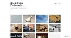 Desktop Screenshot of bitsandbridles.wordpress.com