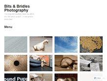 Tablet Screenshot of bitsandbridles.wordpress.com