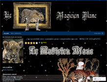 Tablet Screenshot of magikespace.wordpress.com