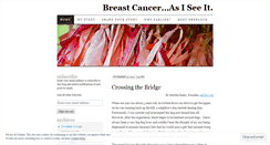 Desktop Screenshot of breastcancerasiseeit.wordpress.com