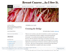 Tablet Screenshot of breastcancerasiseeit.wordpress.com