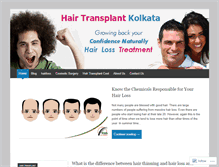 Tablet Screenshot of hairlosstreatmentkolkata.wordpress.com