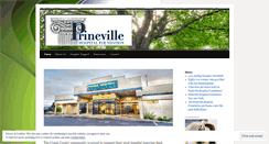 Desktop Screenshot of prinevillehospitalfoundation.wordpress.com