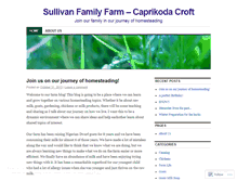 Tablet Screenshot of caprikodacroft.wordpress.com