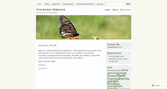 Desktop Screenshot of castreett.wordpress.com