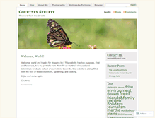 Tablet Screenshot of castreett.wordpress.com