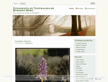 Tablet Screenshot of juanrobertomora.wordpress.com