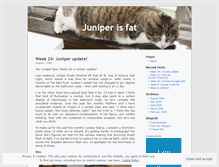 Tablet Screenshot of juniperisfat.wordpress.com
