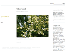 Tablet Screenshot of lynnwiles.wordpress.com
