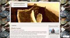 Desktop Screenshot of caitlinonaplane.wordpress.com