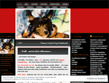 Tablet Screenshot of filmhund.wordpress.com