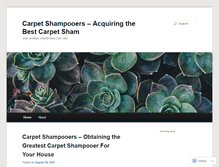 Tablet Screenshot of carpetshampooer86.wordpress.com