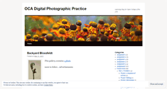 Desktop Screenshot of digphopra.wordpress.com