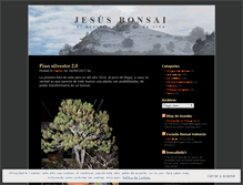 Tablet Screenshot of jesusbonsai.wordpress.com